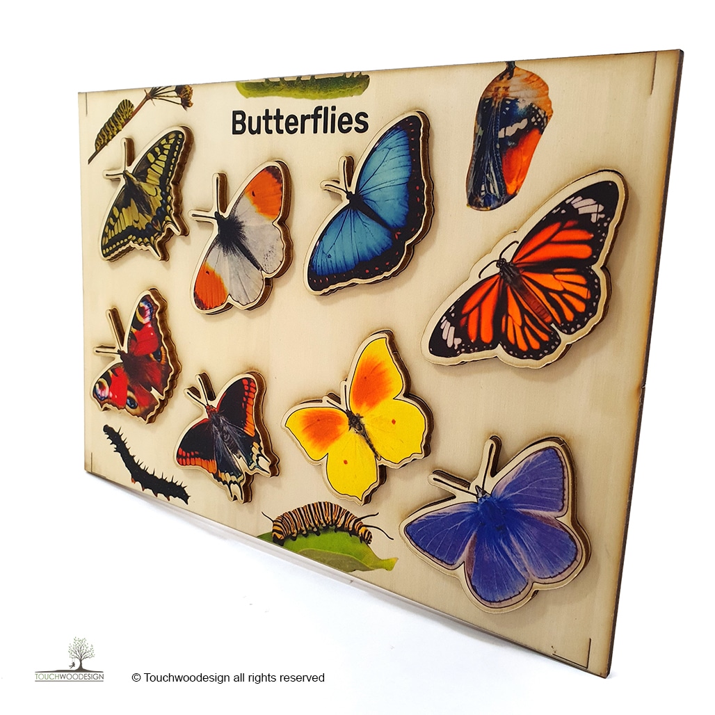 Butterflies