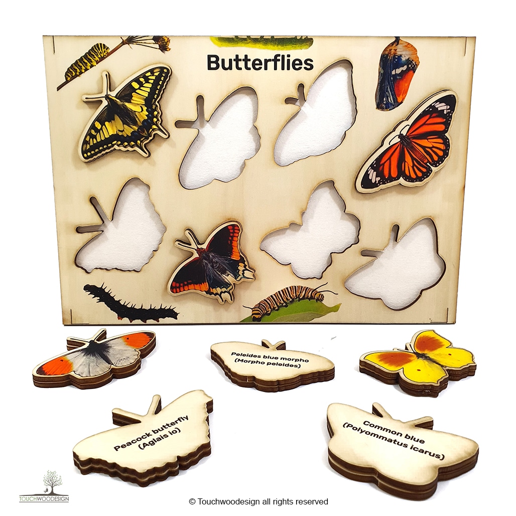 Butterflies