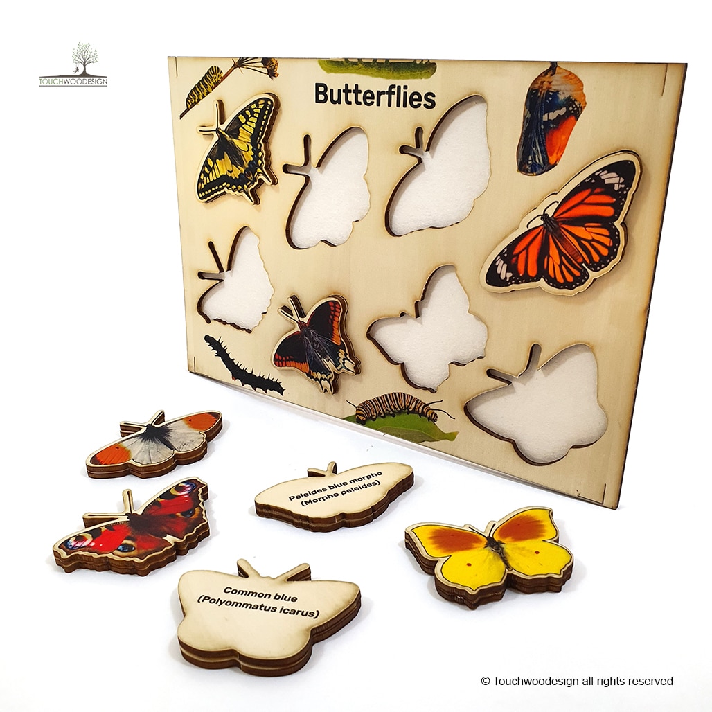 Butterflies