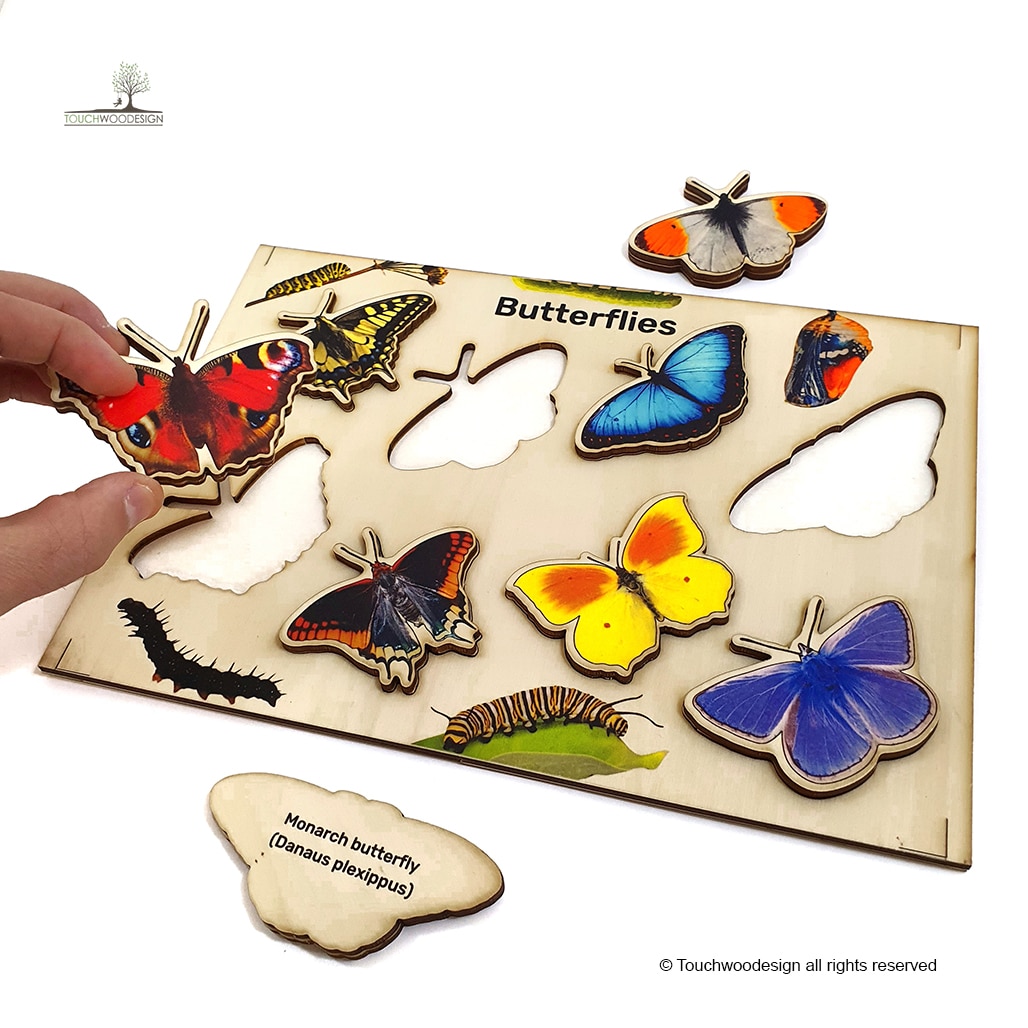 Butterflies