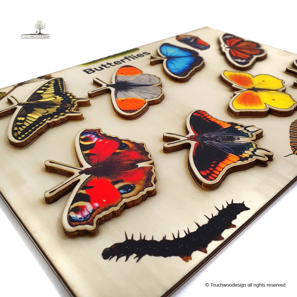Butterflies