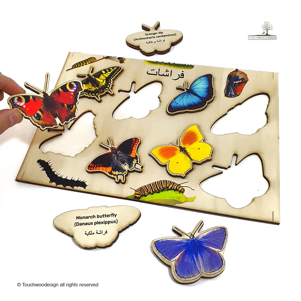 Butterflies