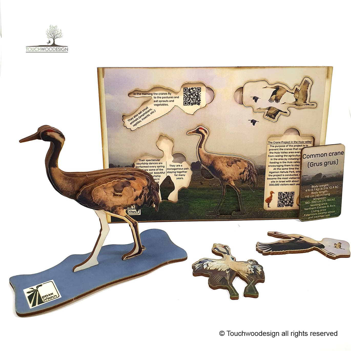 Common Crane