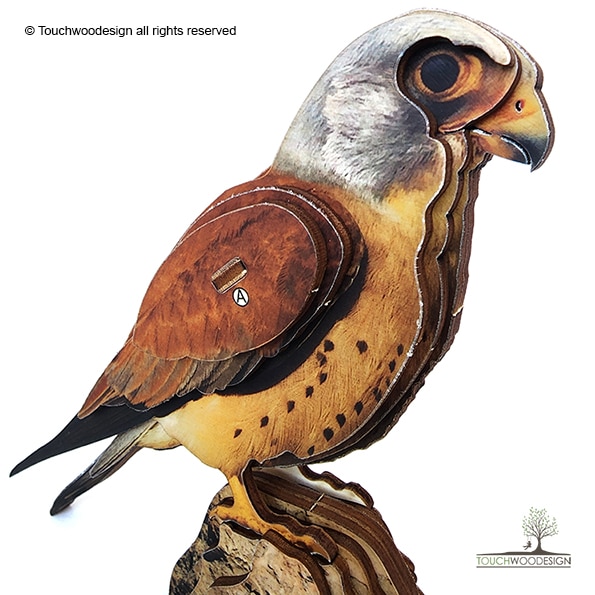 Lesser kestrel