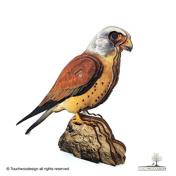 Lesser kestrel