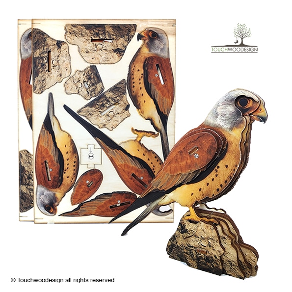 Lesser kestrel
