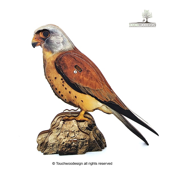 Lesser kestrel