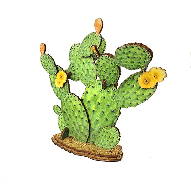 Sabra (Prickly Pear Cactus)